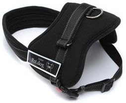 Black Dog Training Harness