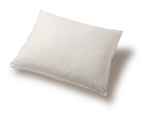 Homescapes Almohada Natural para niños de 40 x 60 cm en Microfibras anti acaros