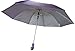 Fendo 2 fold purple umbrella RS.351.00