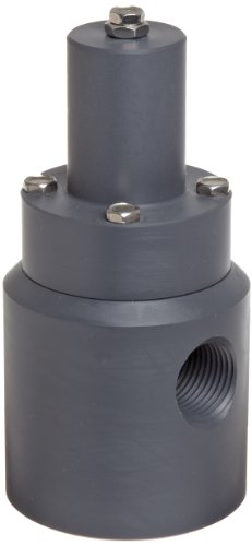 Plast-O-Matic RVD Series PVC Relief Valve for Low Through High Pressure, For Corrosive and Ultra-Pure Liquids, 5-100 psi Pressure Range, 1/2 NPT Female by Plast-O-Matic