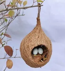 Pankaj Nursery Round Organic Bird nest Purely Handmade Birds/Sparrow/Small Birds Pack of 2