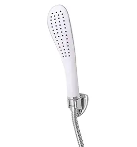 ANMEX Dolphin (10