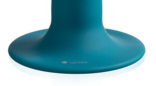 Deluxe-butt-plug-with-vibration-Betthupferl-silicone-butt-plug-with-extra-sturdy-suction-cup