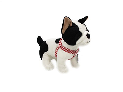 Französische Bulldogge Paulinchen Lustige Tierparade