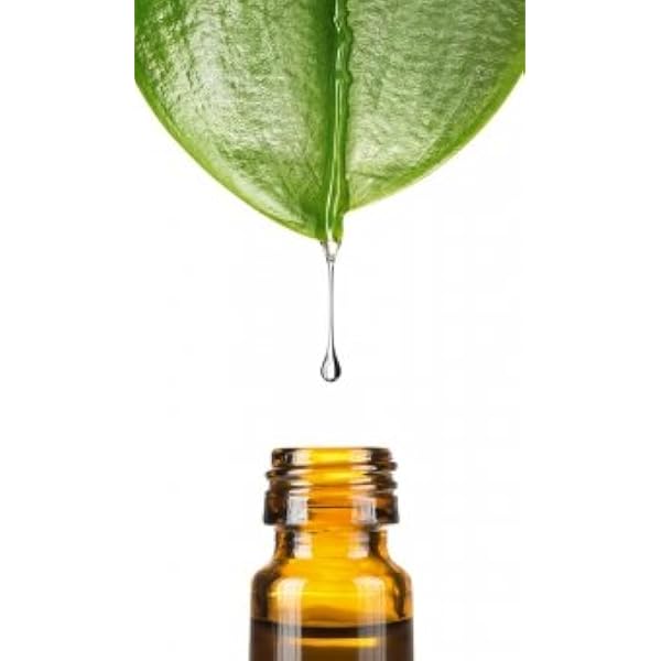 Sala Antiranz – Antioxidationsmittel Für Öle, 10 Ml, Verlängert Die Haltbarkeit