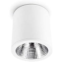 LEDs C4 90-3529-14-OU