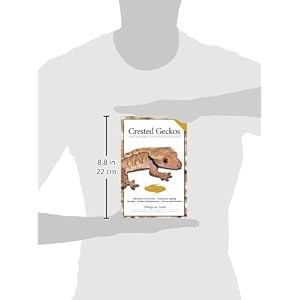 Crested Geckos: From the Experts at Advanced Vivarium Systems