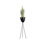 Vintage Pflanzenständer: Mit seinem stilvollen Design verleiht der Pflanzenständer Ihrer Wohnkultur ein schickes und modernes Ambiente. Die Oberseite hat blühende Orchideen, Kakteen und Aloe Vera, um eine warme Atmosphäre zu verursachen. Oder bringen Sie eine herrlich gekühlte Champagnerflasche mit, um Ihren Gästen ein modernes Gefühl zu verleihen.