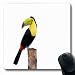 Produktbild Luancrop Mousepads Nicaragua-Kiel berechnetes Tukanblau Mittelamerika-Tier-Natur-längliches Spiel Mousepad rutschfeste Gummimatte