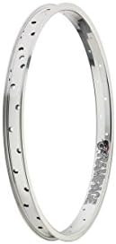 Stolen BMX Rampage 20in BMX rim polished