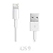 Produktbild Original iProtect® USB Ladekabel u Datenkabel für Apple iPhone SE, 5, 5s, 5c, 6 , 6s, 6s Plus, iPod Touch 5G, iPad Mini 1+2, iPad 4, Air 1+2, iPod Nano 7G in weiß