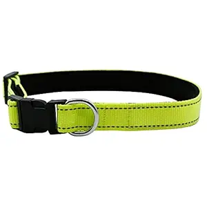 Santosh Enterprises Nylon, Padded Reflective Dog Collar (Large, 21 Inch, Neon Green)