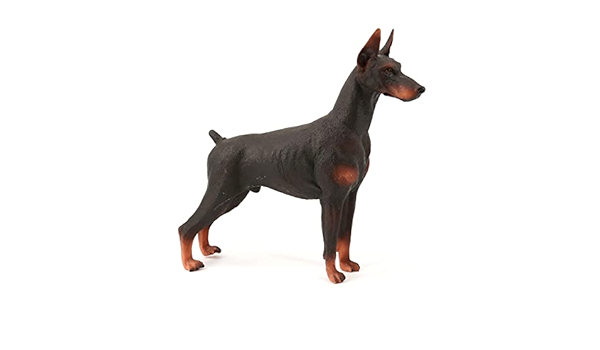doberman amazon