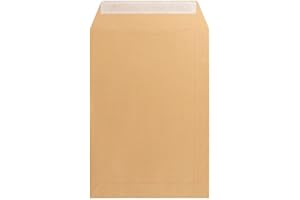 FELIXMANIA Caja lote de 1000 Sobres Papel Kraft Natural 100x150 70Gr/m² Salario Marrón 31933