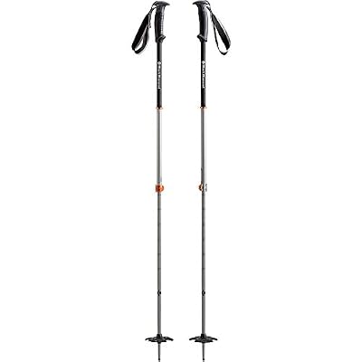Black Diamond Bâtons Traverse Pro - mixte