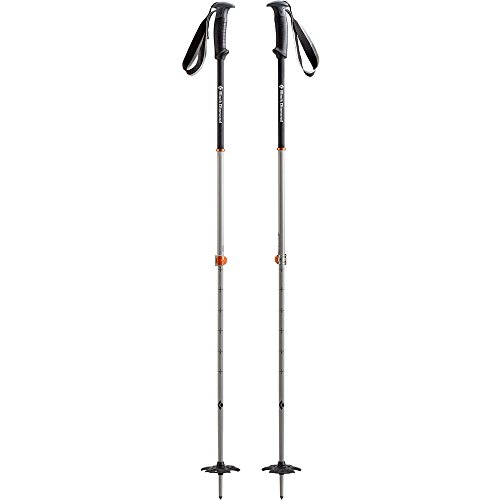 Black-Diamond-Skistcke-Traverse-Pro-Skistock