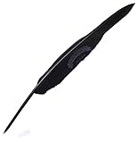 pluma boligrafo lapicero Bolígrafo en forma de pluma negra con la inscripción HOGWARTS.