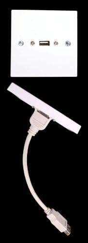 1 x USB A Outlet Plate A Female - A Female