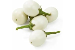 FPG4U Garden Eggs 1KG