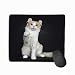 Produktbild Mouse pad Creme White Adult American curl cat Black Background steelseries Keyboard