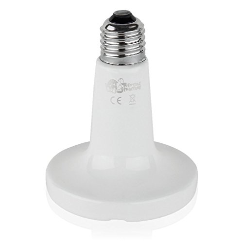 Itian 75W Keramik Haustier Reptil Wärmelampe Wärmelampe Weiß - 3