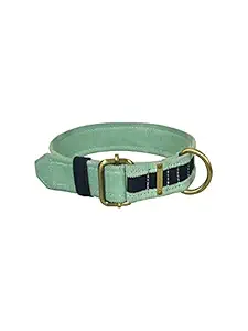 IndieGood Organic Corduroy Cotton & Canvas Collar for All Dog Breeds and Sizes (Blue, Medium)