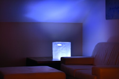 Surplus 323018-000 Knitter-Box „Maxi“, 32 x 30 x 18 cm, transparent - 3