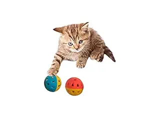 PawCloud Cat Ball Toy, Interactive Bell Ball for Kitten, Small, Pack of 2