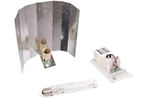 DVAM Kit de iluminación 600W Eco