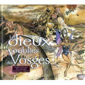 couverture de : Les dieux oubli&eacute;s des Vosges