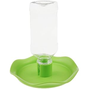 Automatische Wasserspender Zubringer Für Haustier Reptil Schildkröte - Grün, 15,5 * 15,5 * 2.5cm