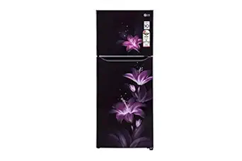 LG GL-N292BPGY 260 Liters 2 Star Double Door Refrigerator (Purple Glow)