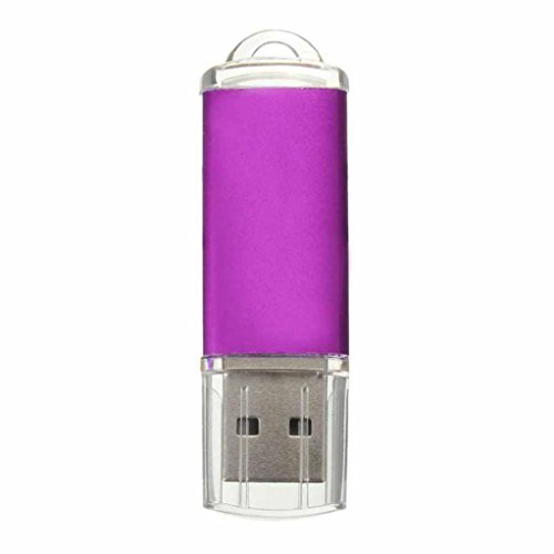 FEITONG 1GB USB 2.0 Metall Flash Memory Stick Speicher Thumb U Festplatte (Lila) - 4