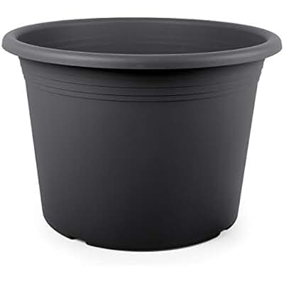 Suchergebnis auf Amazon.de für: pflanzkübel aussen: Garten