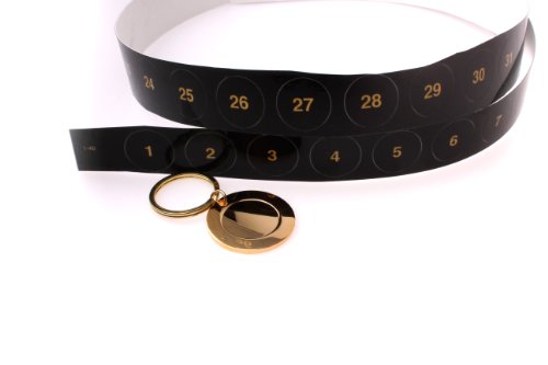 Preisvergleich Produktbild Schlüsselanhänger / Zimmerschlüssel / Hotelzimmer / Schlüsselbund / gold / Set / 40 Stück + Nummerierung 1-40