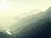 Produktbild Poster-Bild 110 x 80 cm: "Wild coniferous wood in a morning fog.", Bild auf Poster