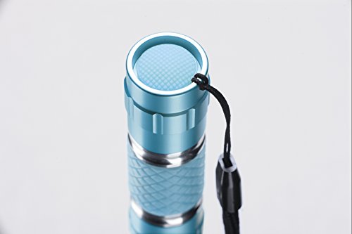 Varta 0.5 Watt LED Lipstick Light inkl. 1x High Energy AA Batterie lippenstiftförmige Taschenlampe Handtaschenlicht Schlüsselanhänger Taschenlicht Flashlight für Handtaschen, Tragetaschen Rucksäcke - 5