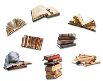 Magnettafel Bücherei – Märchenhafte Design Metall Magnetpinnwand 60×40 cm – Memoboard Pinnwand mit Motiv: Bücherregale Bibliothek – inkl. 8 Magnete Fliegende Bücher für Magnetwand – Original GUMA Magneticum® - 4