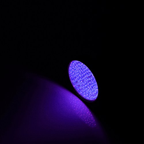 100 UV LED Ultraviolett schwarzlicht taschenlampe Stain Detektor mit UV Schutzbrille für Skorpion Haustier Hund und Katze Diagnose Identifizierung von Geld WEINAS - 4