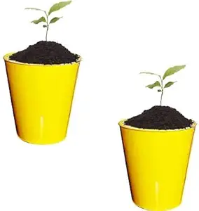 Decorscent Metal Iron Flower Pot - Set of 2