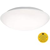 Briloner Leuchten – LED Deckenlampe mit Bewegungsmelder, Deckenleuchte mit Tageslichtsensor (optional einstellbar), 15W, 1500 Lumen, Ø29 cm