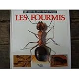 Image de Les fourmis