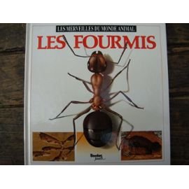 Les fourmis en ligne Les fourmis en ligne