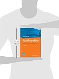 Image de Kanalinspektion: Zustände erkennen und dokumentieren (VDI-Buch)