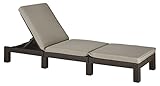Allibert by Keter Daytona Sunlounger - Brown with Taupe Cushion (Garden &amp; Outdoors)
