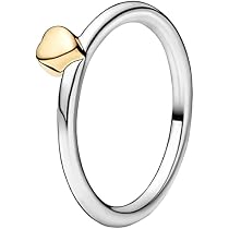 Pandora 925 Sterling Silver Two-Tone 