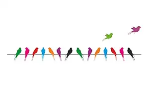 Decals Design Colourful Birds with Long Tail on Wire Wall Sticker (PVC Vinyl, 70 cm x 25 cm, Multicolour)