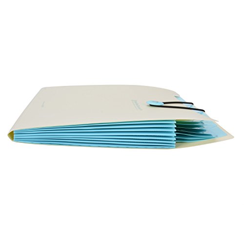 Carpeta Clasificadora Coofit Carpeta Archivadora con Compartimentos Tipo Acorde  n Ampliaci  n de Carpeta de Archivos Impermeable A4 con 8 Compartimentos  Amarillo claro 