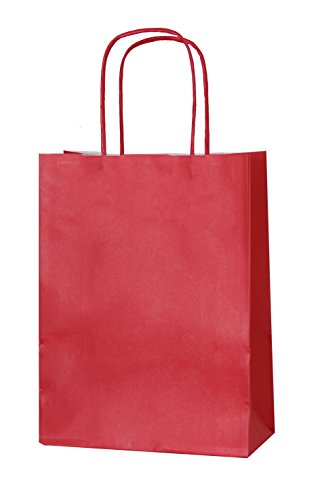 10 Hellgrün Papierpartytüten mit Griffen – Wählen Sie Ihre Größe und Farbe - 6