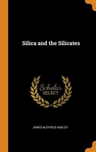Preisvergleich Produktbild Silica and the Silicates